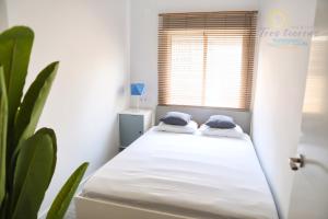 Tres Tierras Solea Santa Pola