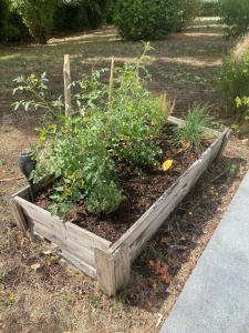 Hotels Novotel Le Mans : photos des chambres