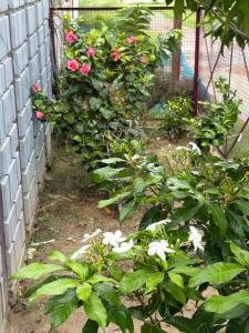 ATULYAM STAYS SUSHANT GOLF CITY LUCKNOW