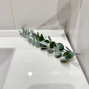 Sounds of Porto 424 - Bolhão & Tradition