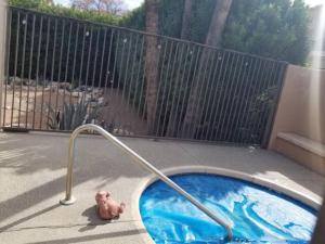 Sabino Canyon Condo with a Pool and Spa