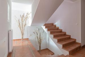 Apartments Ivana