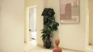 نايا هومز العليا Naya home,s