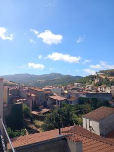 Affittacamere Le Muse img78