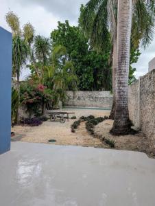 Casa Kiiwik - Luxury Property with a Private Outdoor Pool and Parking in Central Merida