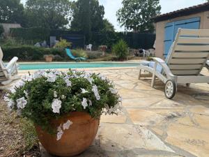 Maisons de vacances Villa provencale La Baniste : photos des chambres