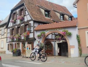 Appartements Gite Le Marronnier - au calme - parking & terrasse - pres de Colmar et Riquewihr - route des vins : photos des chambres