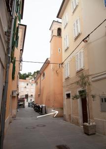 Rosa di Pirano con Terrazza 