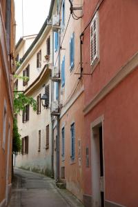 Rosa di Pirano con Terrazza