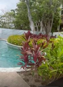 Espectacular departamento en nuevo vallarta