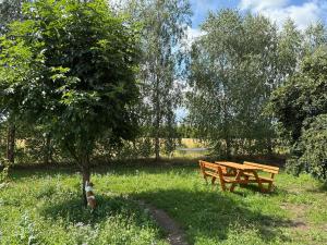 Apartamenty i Winnica - Siedlisko Na Polanie