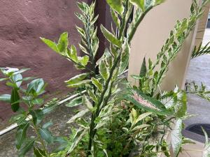 Apartamento The Spot Near the Mall