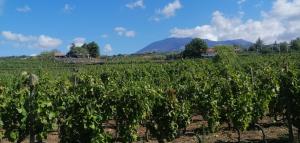 Agriturismo Travaglianti Alloggio Etna