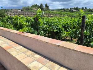 Agriturismo Travaglianti Alloggio Etna