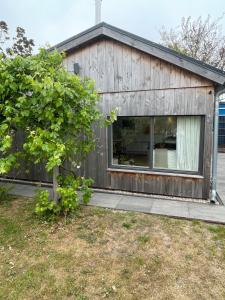 Strandhuisje Anna dicht bij de zee