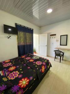 RIO Colors - Hospedaje