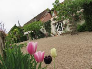 Hotels Auberge Du Grand Dauphin : photos des chambres