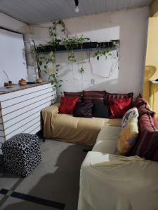 HOSTEL RAIZ da BAHIA