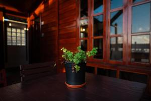 La Cábala del Draguillo