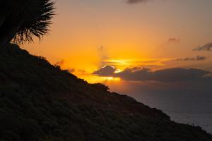 La Cábala del Draguillo