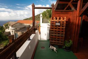 La Cábala del Draguillo