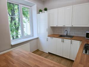 Large Apartment in The Old Town Center