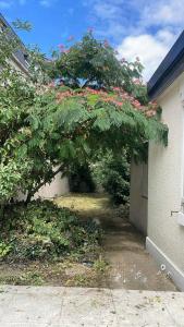 Appartements Tiny House avec jardin au coeur de Bourges : photos des chambres