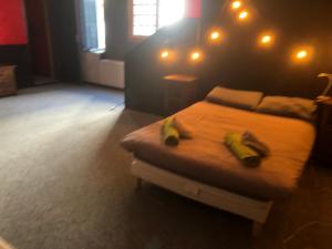 Appartements Maison - La Bourdine : photos des chambres