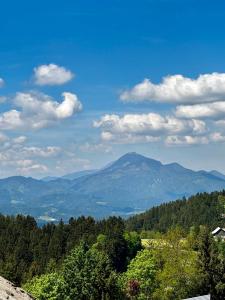 Apartment and rooms Špes