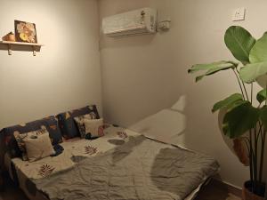 Earthy Homestay