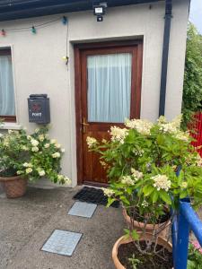 Careys Bar & Farmhouse Kilkenny Border