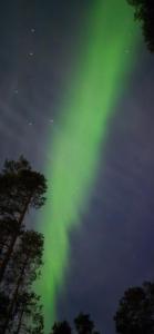 Ylläs Chalets IX 9502