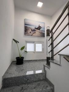 Apartmani PERICIC SUTOMORE NEW HOUSE