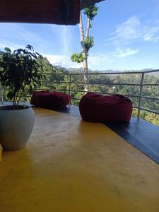 Urban roots lodge