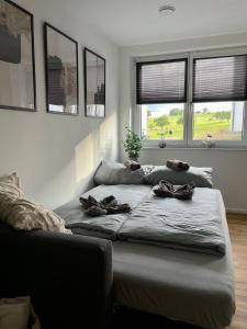 Modern apartment close Bodensee