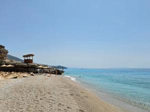 Everbright Seaside Serenity