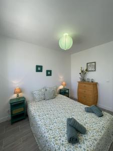 Villas Flamenc-House Villa climatisee a 20 min des plages : photos des chambres