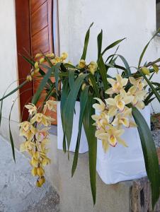 Cantinho da esperança