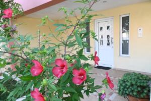 Garden Bliss Alexandroupolis