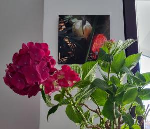 Уютная квартира рядом с центром Бургаса