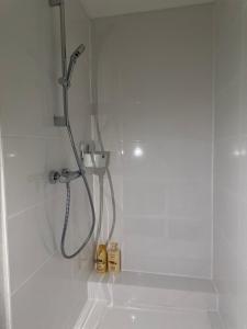 Appartements Ambiance chalet en plein centre : photos des chambres