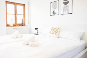 stycoz - Modern studio - Central