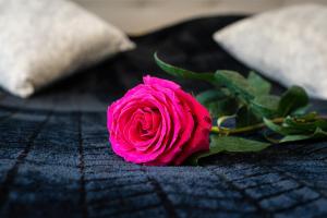 Bright Royal Elegance