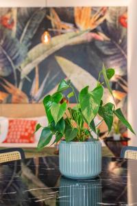 SMERALDO ACQUAMARINA Waterfront