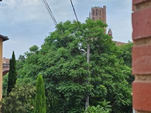 Appartements Proche passerelle et cathedrale : photos des chambres