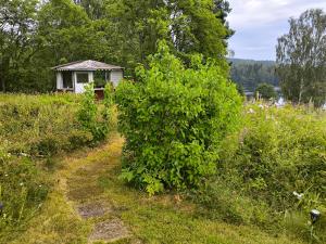 Embracing natures Swedish house