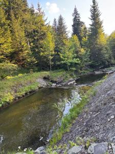 Apartament 1 w Kocierzu