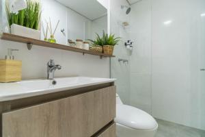 Coffee Spring Studio Medellin