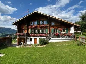 Alpenchalet Haldeli in Gstaad
