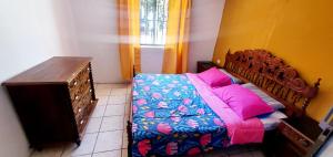 Cabañas Jardín Alto